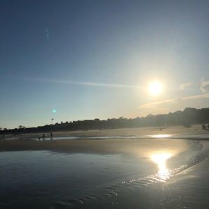 Meet your Posher, Sophie